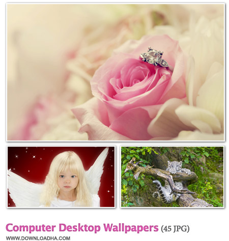 CDWall 45 والپیپر دیدنی برای دسکتاپ Computer Desktop Wallpapers
