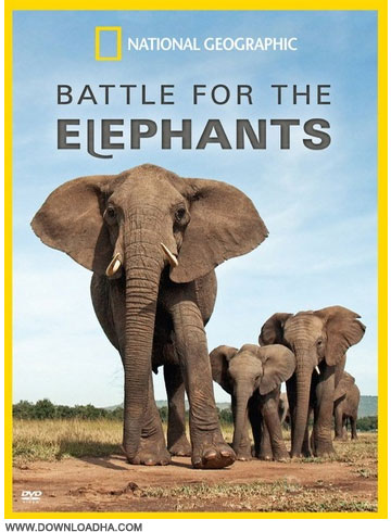 دانلود مستند نبرد برای فیل ها Battle for the Elephants