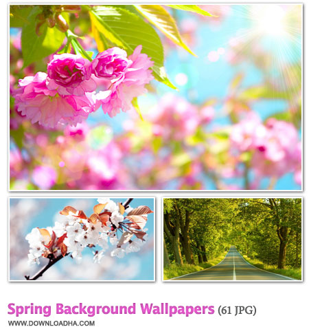 Spring دانلود مجموعه 61 والپیپر زیبا و بهاری Spring Background Wallpapers
